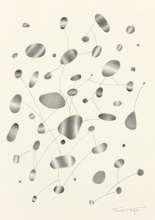 「Seeds -Drawing-」 H27cm×W19cm / 鉛筆、アルシュ紙