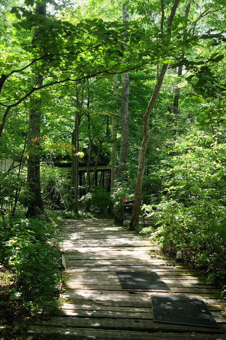 八ヶ岳倶楽部の風景は『人と自然の仲のいい風景』だ
